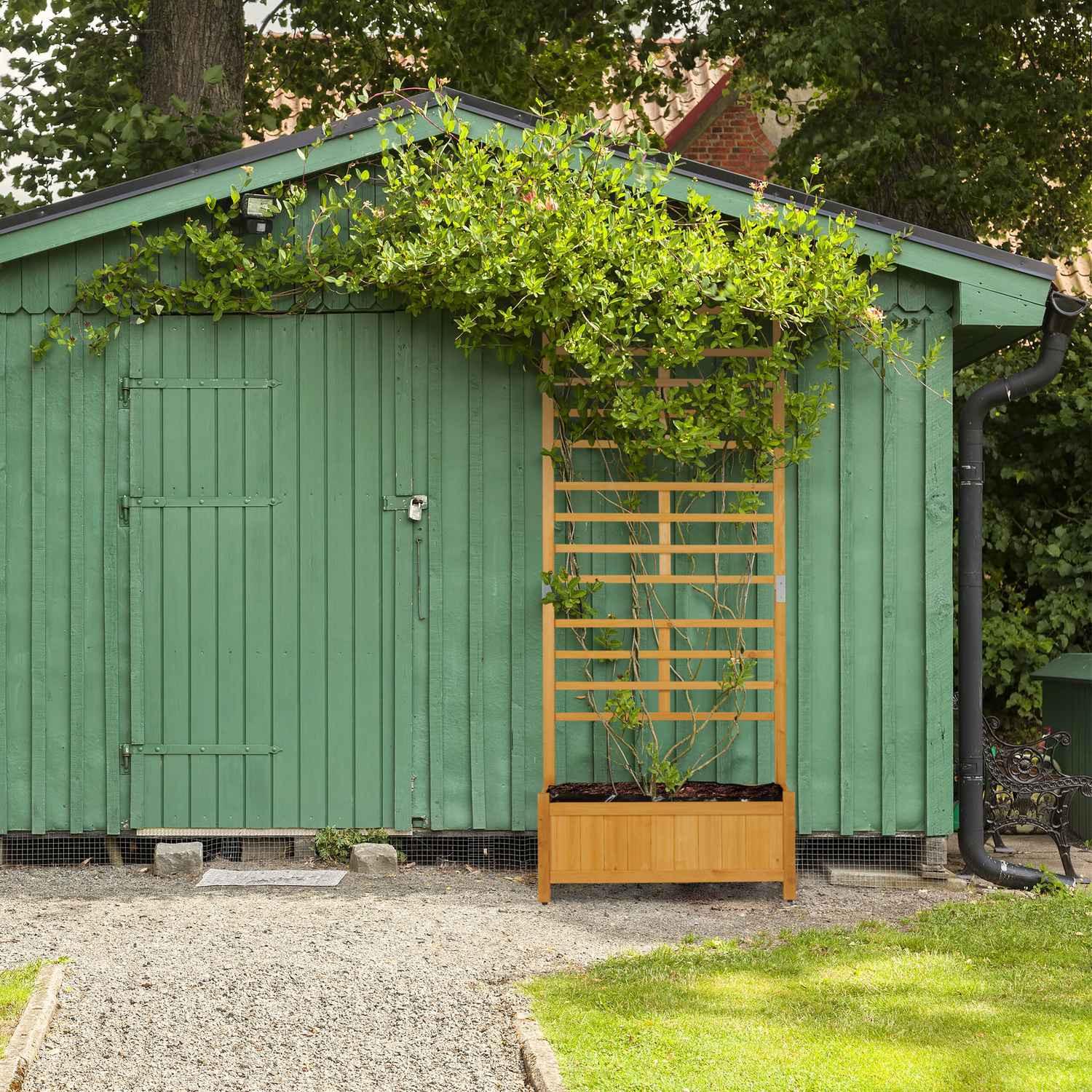 B2X Anzuchtkasten mit Spalier  