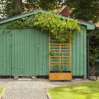 B2X Anzuchtkasten mit Spalier  