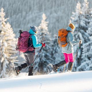 Geschenkidee  Private Schneeschuhtour - im Berner Oberland (für 2 Personen) 