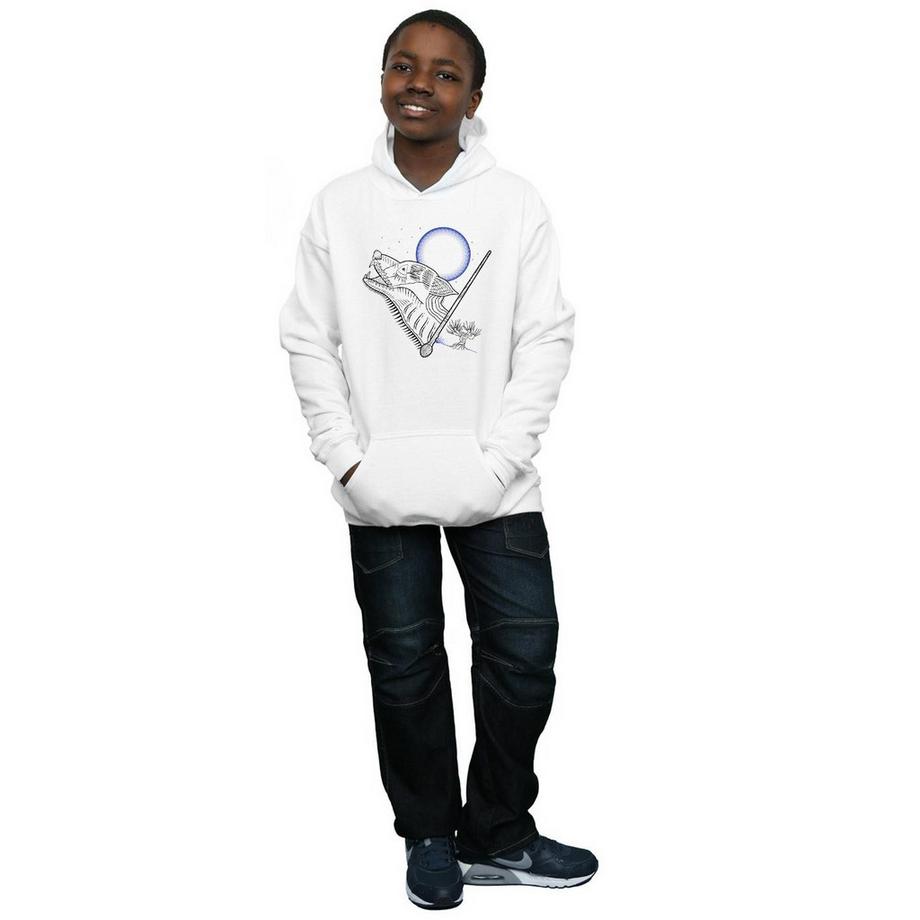 Harry Potter  Sweat à capuche 