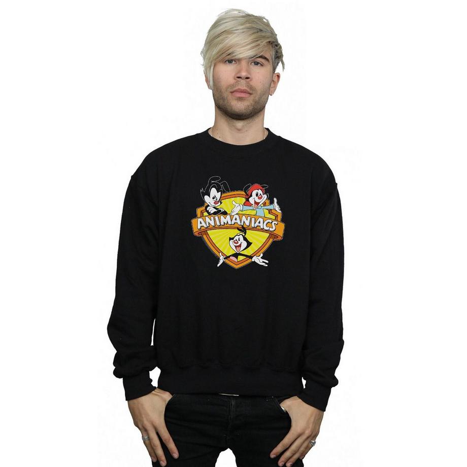 Animaniacs Logo Sweatshirt  