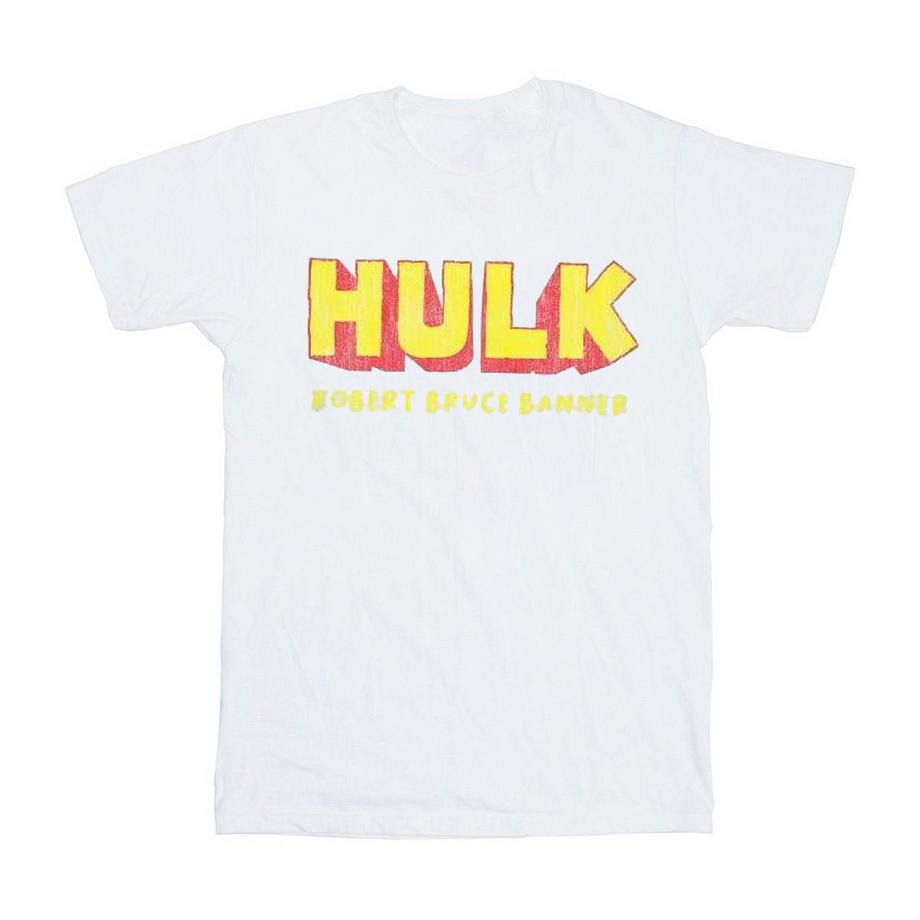 Aka Robert Bruce Banner T-Shirt