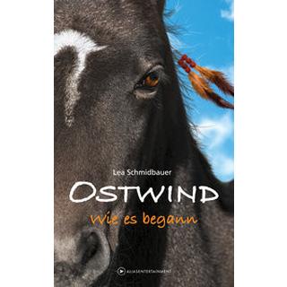 OSTWIND - Wie es begann Schmidbauer, Lea Couverture rigide 