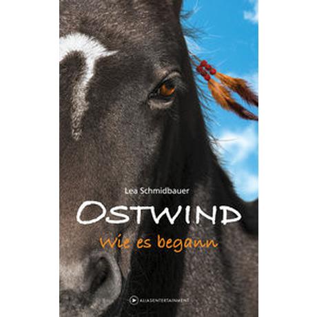 OSTWIND - Wie es begann Schmidbauer, Lea Gebundene Ausgabe 