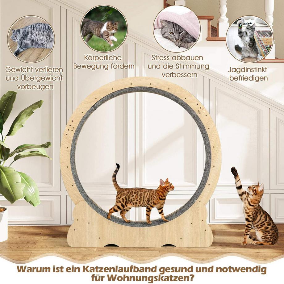 Northix  Roue d'exercice pour chat, silencieuse et sécurisée 