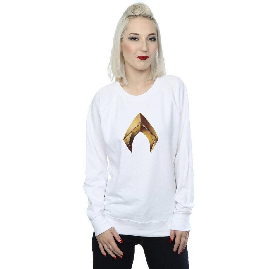 DC COMICS Aquaman Logo Sweatshirt  