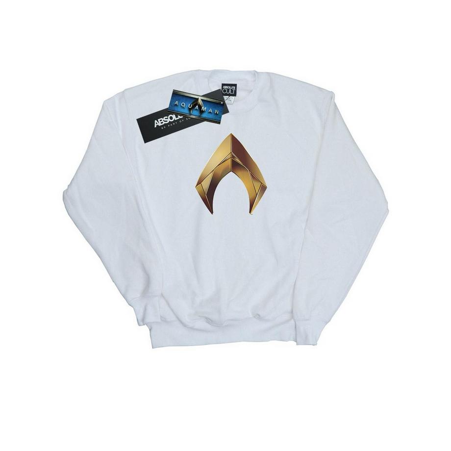 DC COMICS Aquaman Logo Sweatshirt  