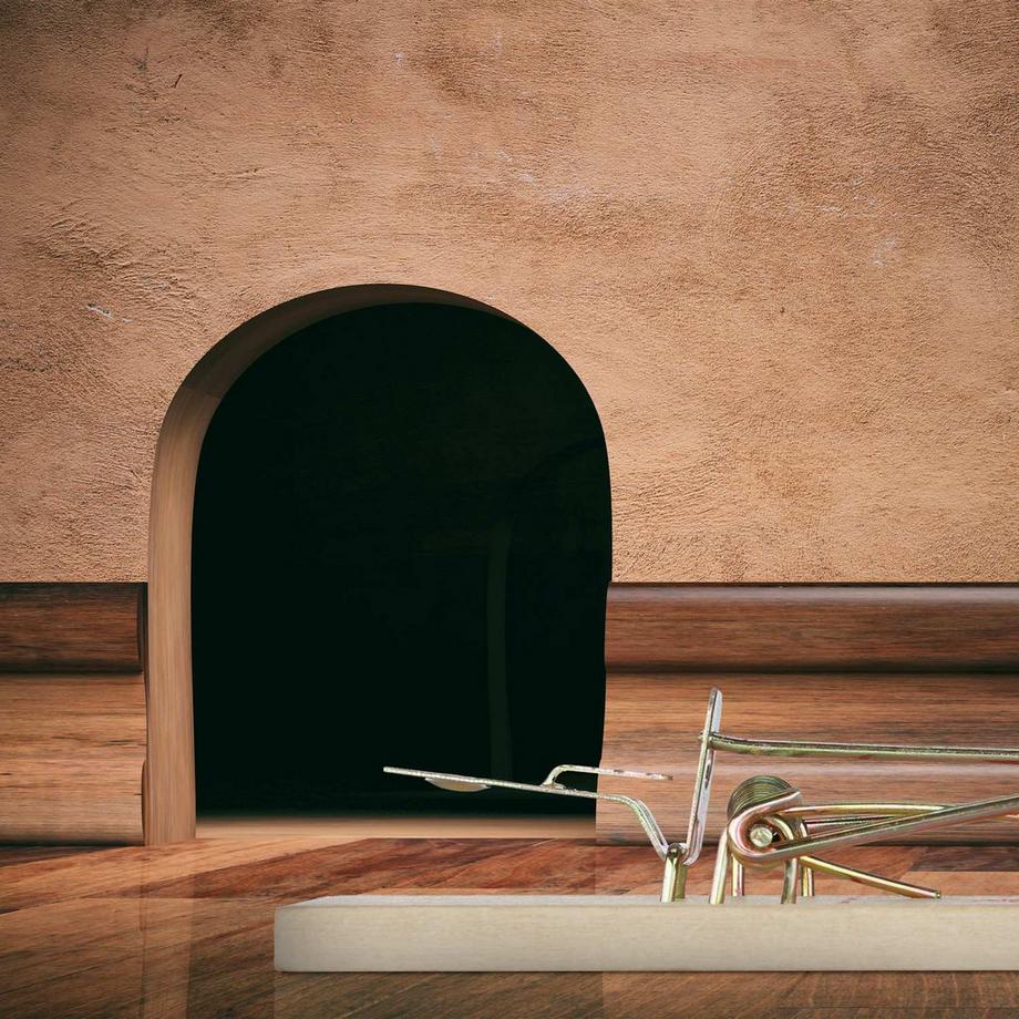 B2X Piège à souris en bois, lot de 12 pièces  