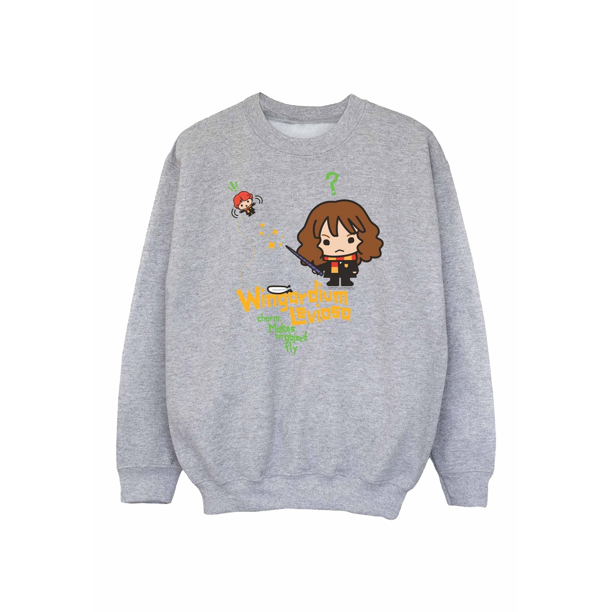 Harry Potter  Sweat WINGARDIUM LEVIOSA 