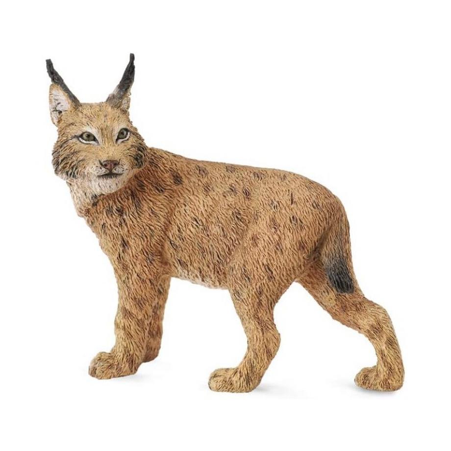CollectA  Wild Life Luchs 
