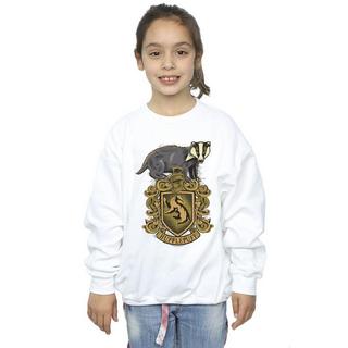 Harry Potter  Hufflepuff Sweatshirt 