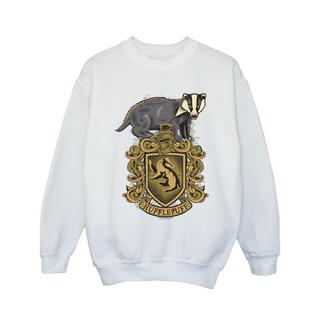 Harry Potter  Hufflepuff Sweatshirt 