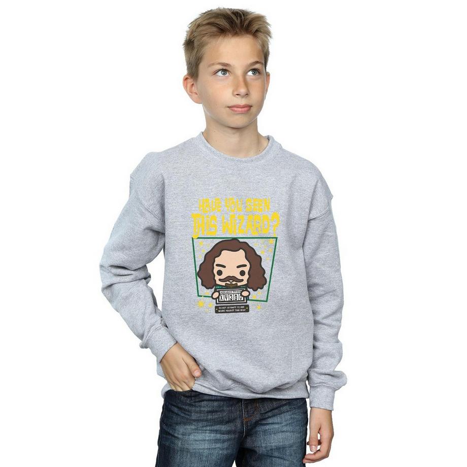 Harry Potter  Sirius Black Azkaban Junior Sweatshirt 