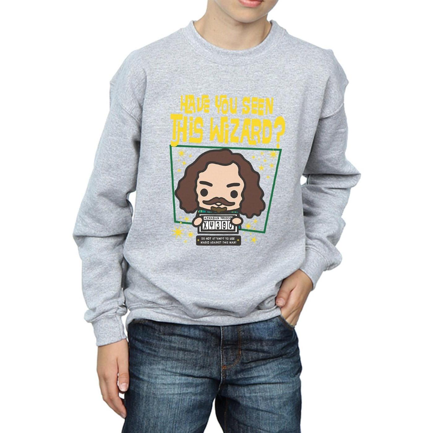 Harry Potter  Sirius Black Azkaban Junior Sweatshirt 
