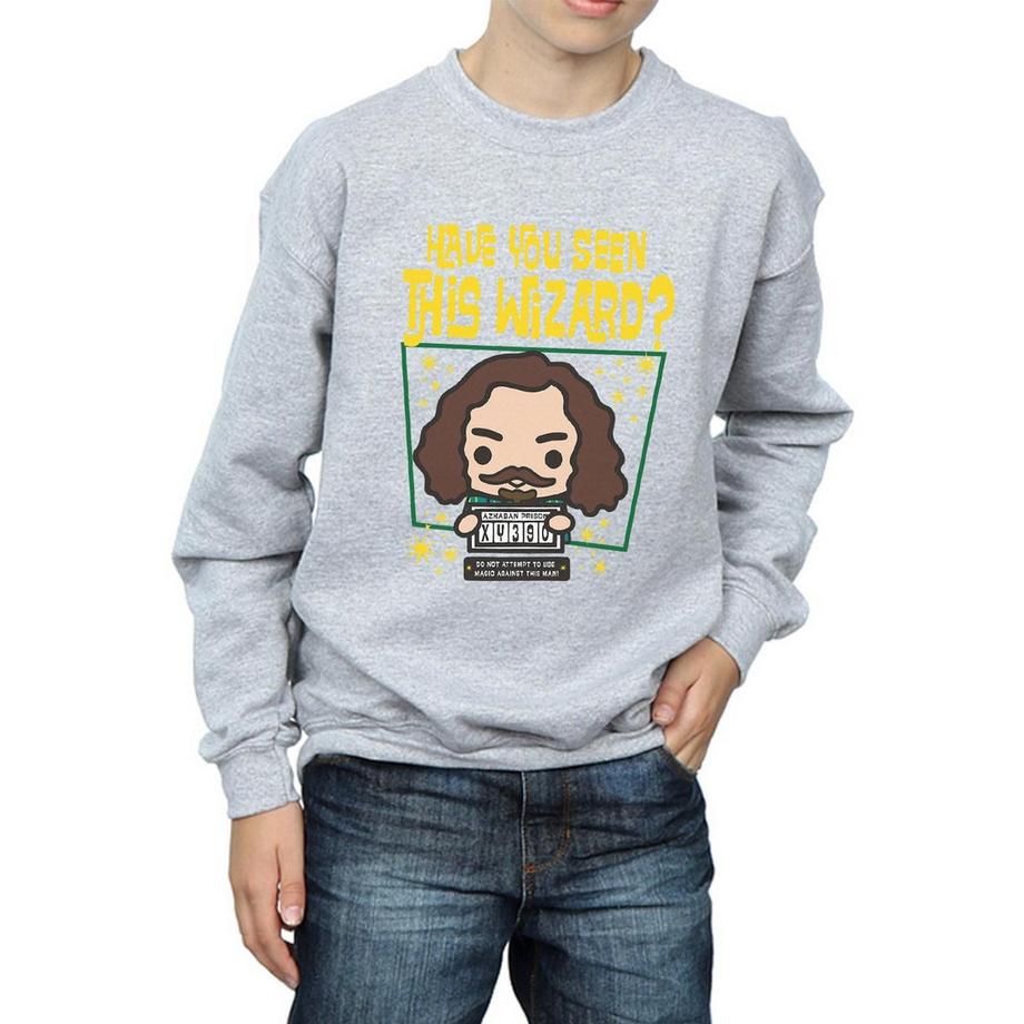 Harry Potter  Sirius Black Azkaban Junior Sweatshirt 