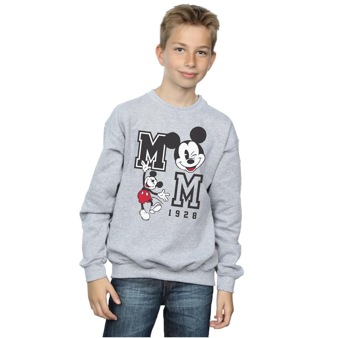 Disney  Sweatshirt 