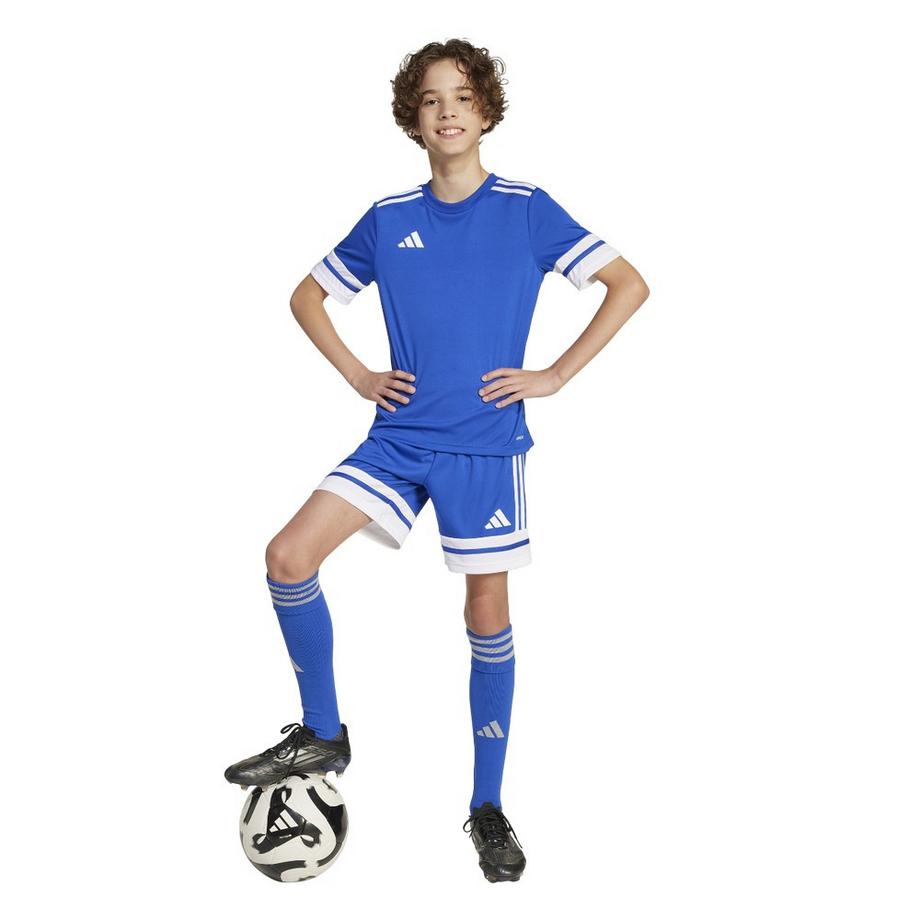 adidas  Short Squadra 