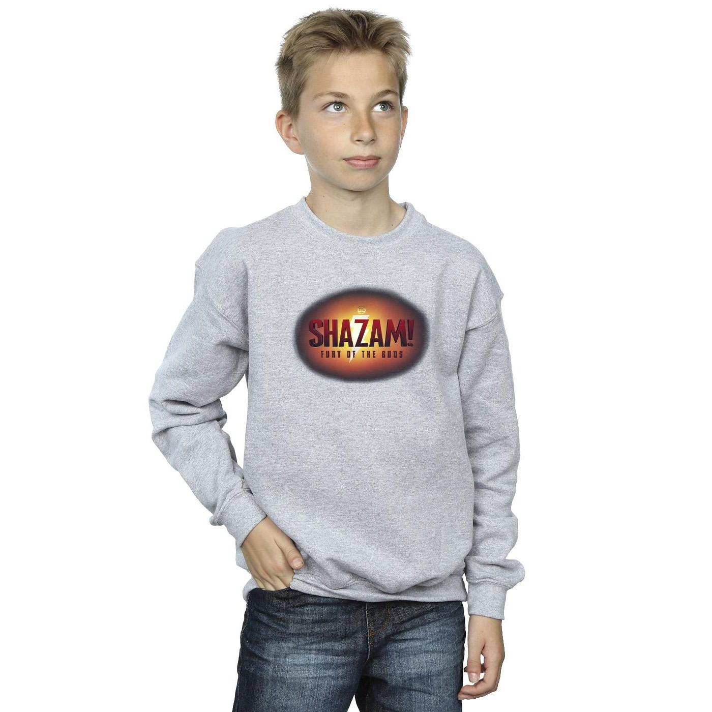 DC COMICS  Fury Of The Gods Sweatshirt 