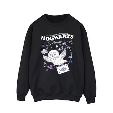 Owl Letter From Hogwarts Sweatshirt