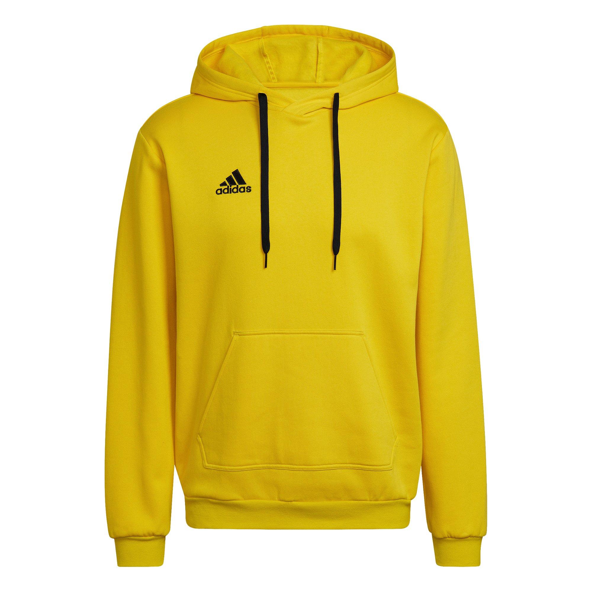adidas Entrada 22 Sweatshirt à Capuche  