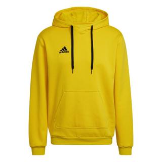 adidas Entrada 22 Sweatshirt à Capuche  