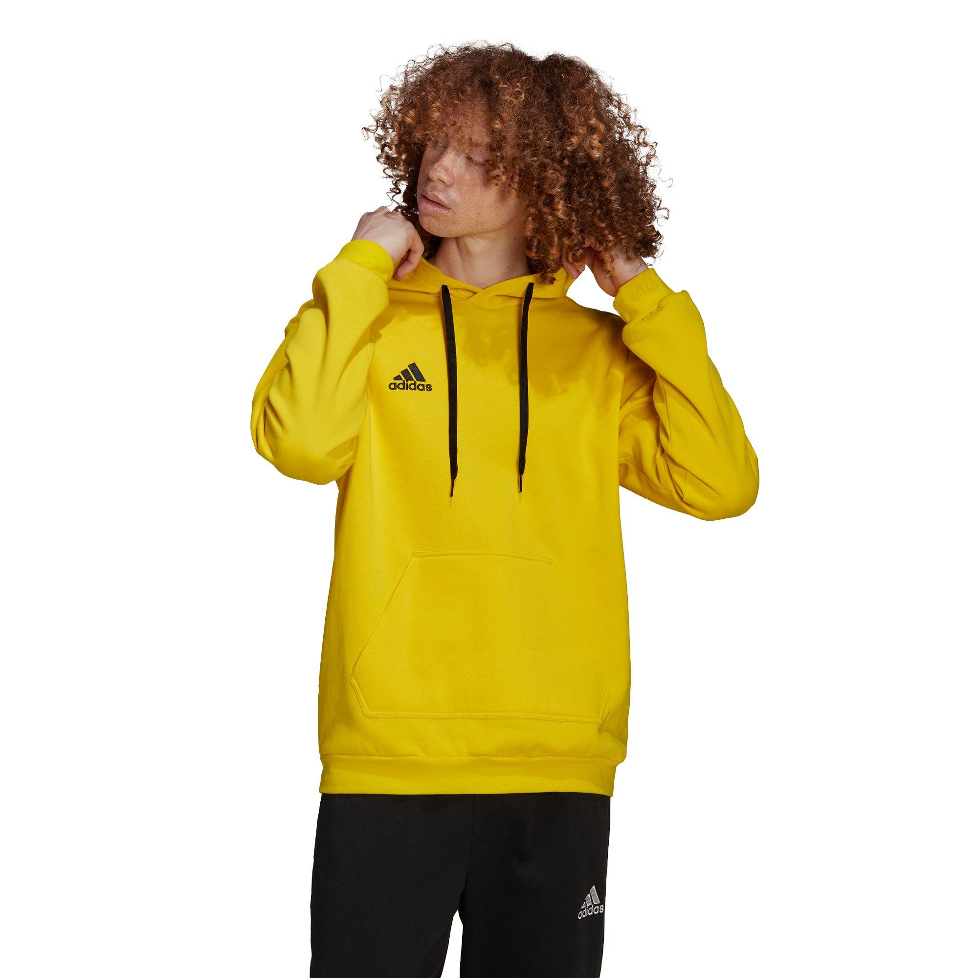 adidas Entrada 22 Sweatshirt à Capuche  