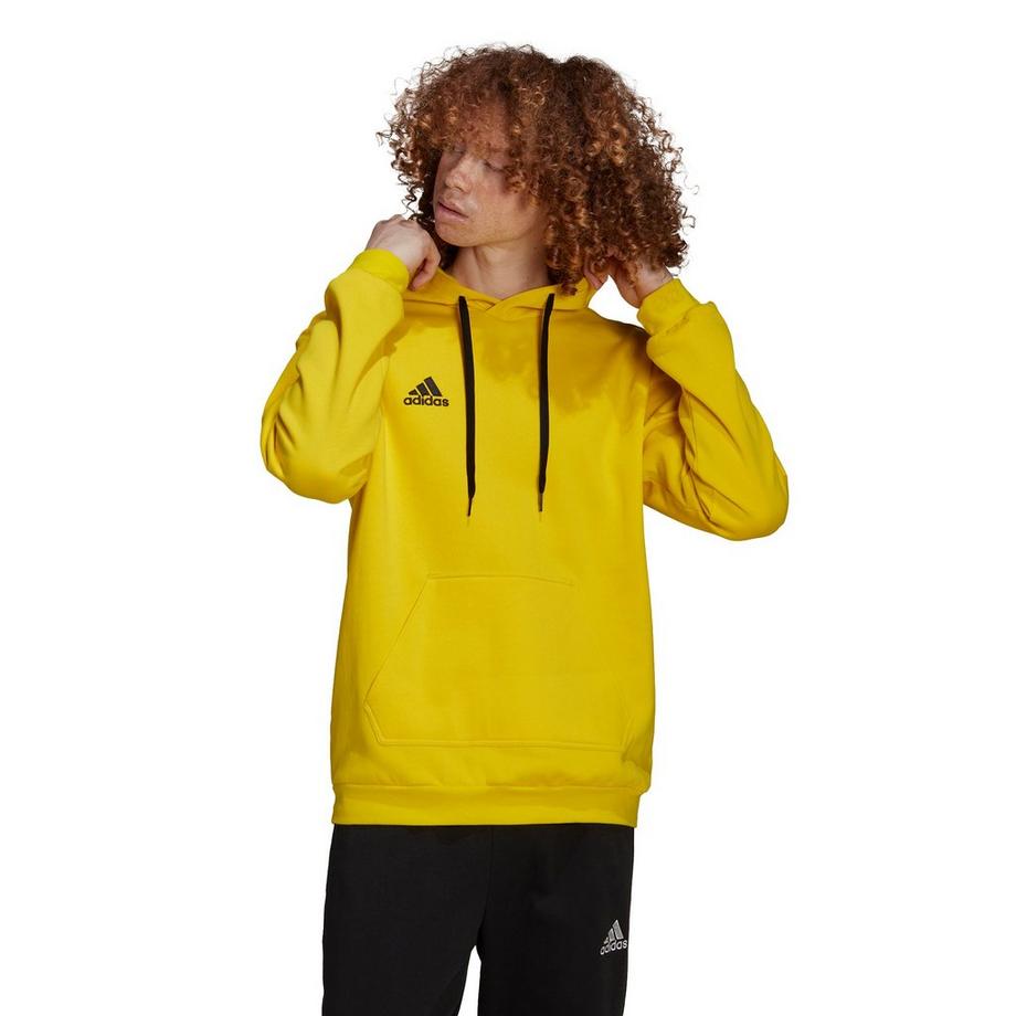 adidas Entrada 22 Sweatshirt à Capuche  