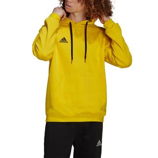 adidas Entrada 22 Sweatshirt à Capuche  