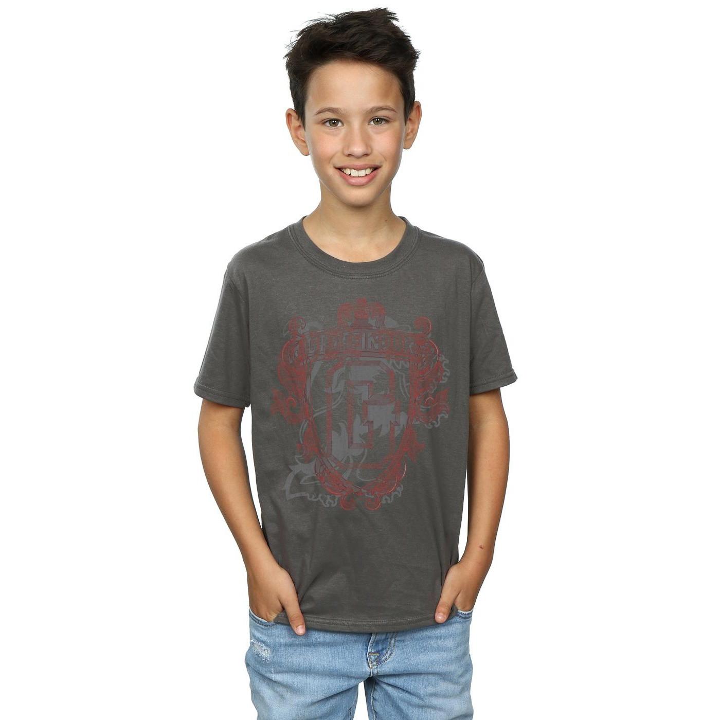 Harry Potter  Gryffindor TShirt 