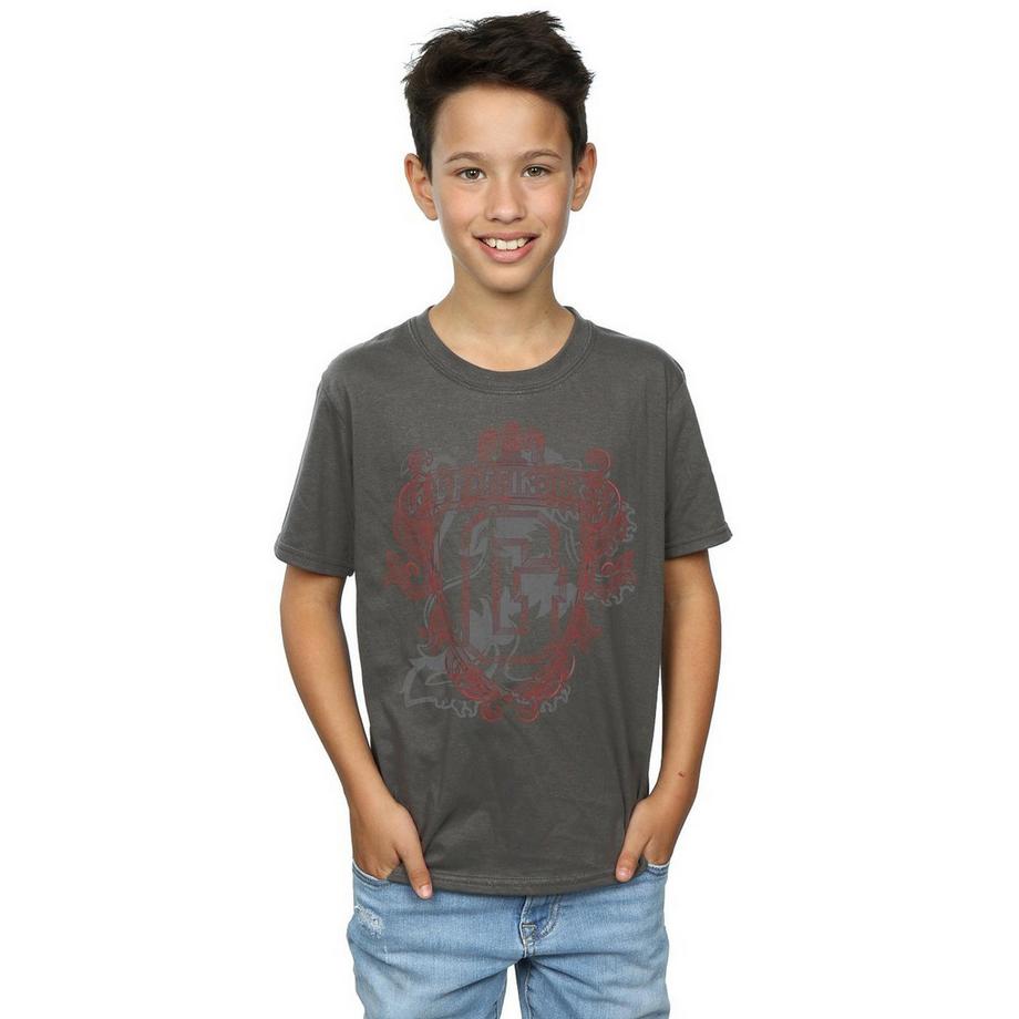 HARRY-POTTER  Gryffindor TShirt 