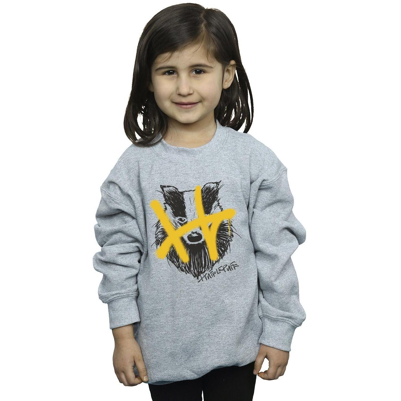 Harry Potter  Hufflepuff Sweatshirt 