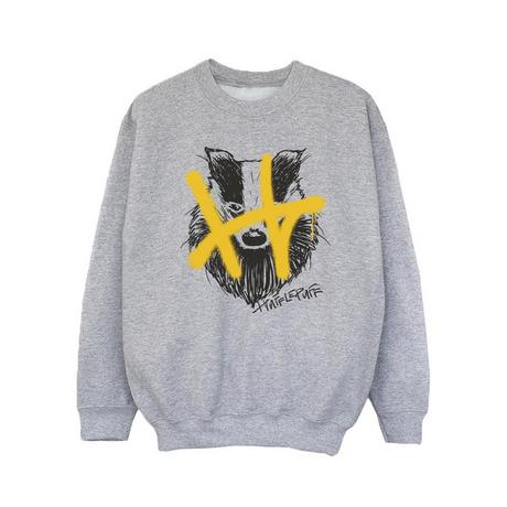 Harry Potter  Hufflepuff Sweatshirt 