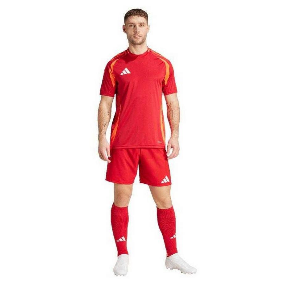 adidas  Tiro 24 Competition Pantaloncini Allenamento 