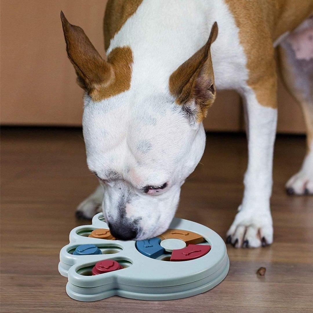 eStore  Slow Feed - Giocattolo per l'alimentazione del cane 