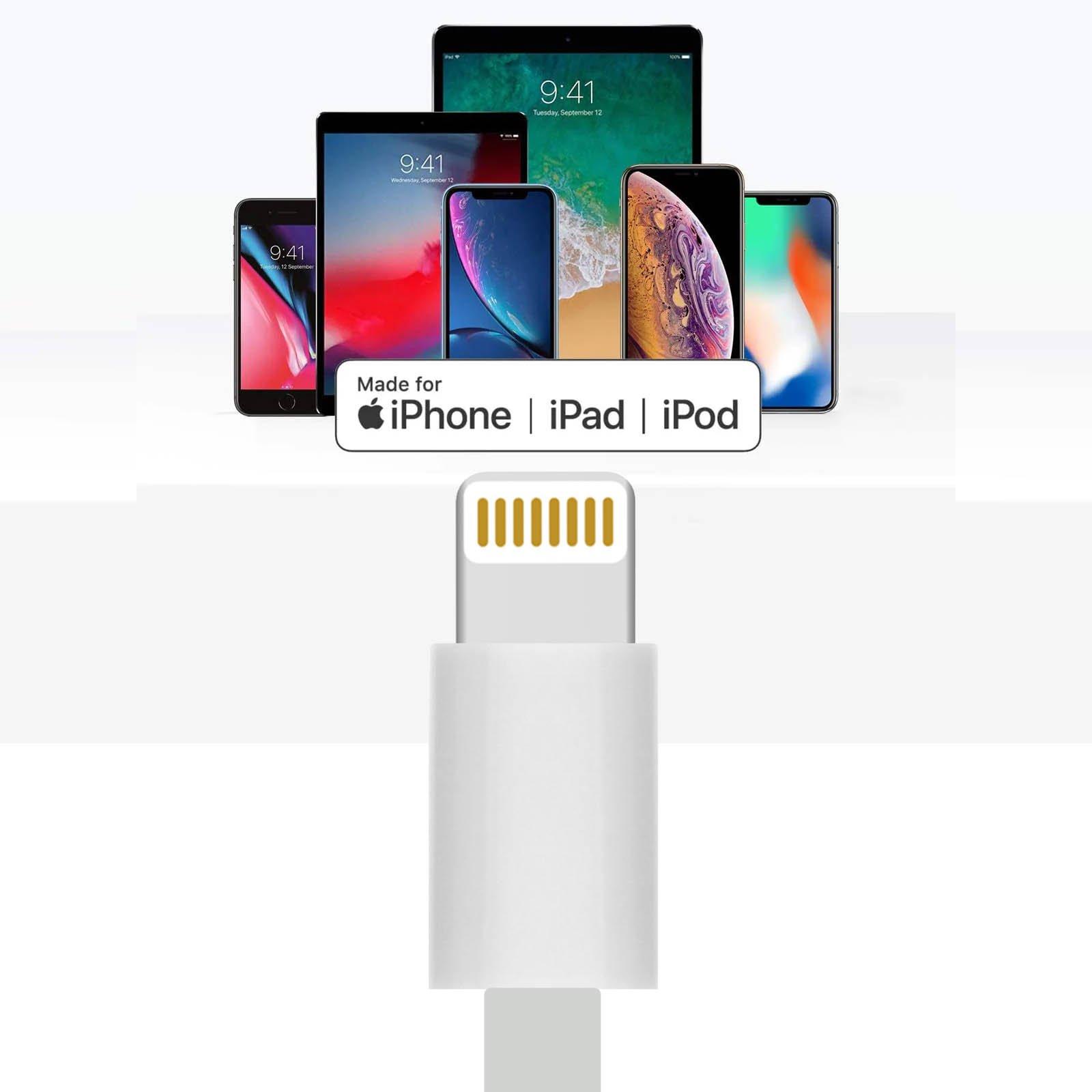 Avizar  Adattatore Apple iPone 4 Verso iPhone 6 