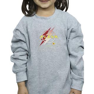 DC COMICS  Sweatshirt 