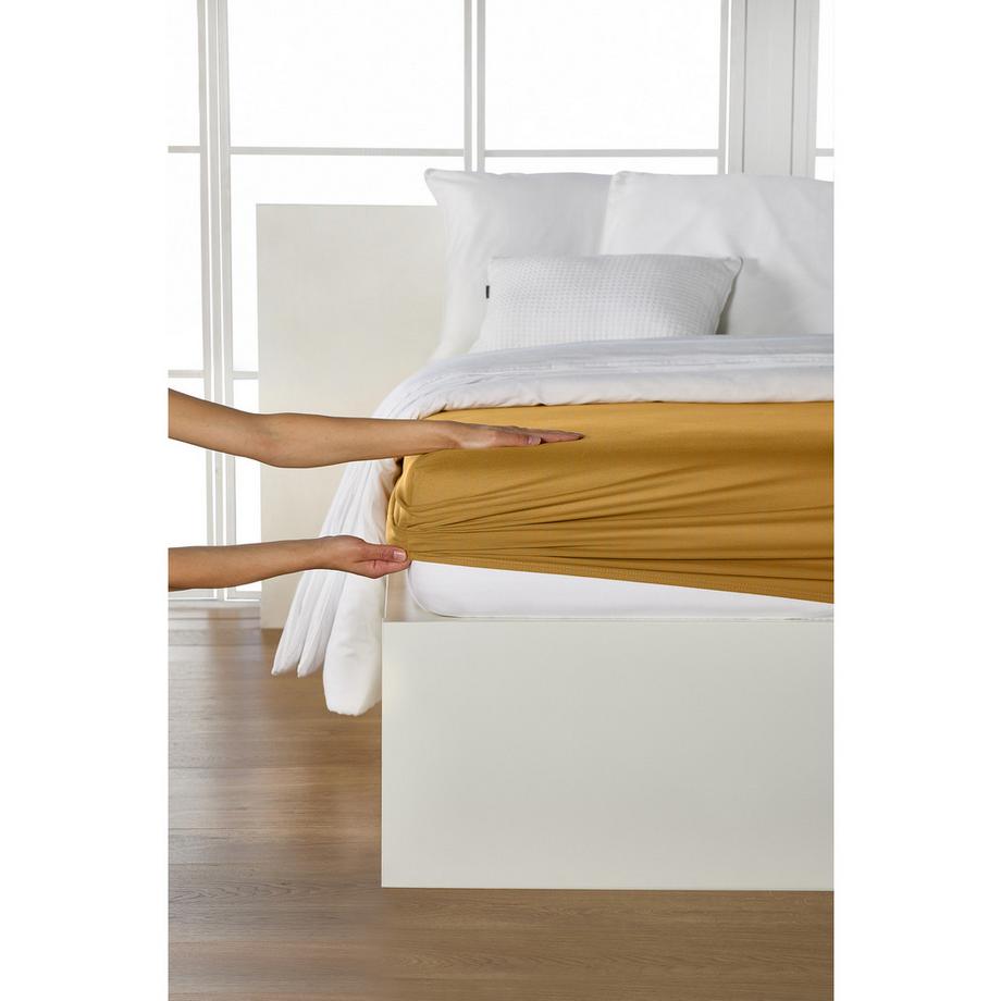 Living Home Albany Drap-housse  