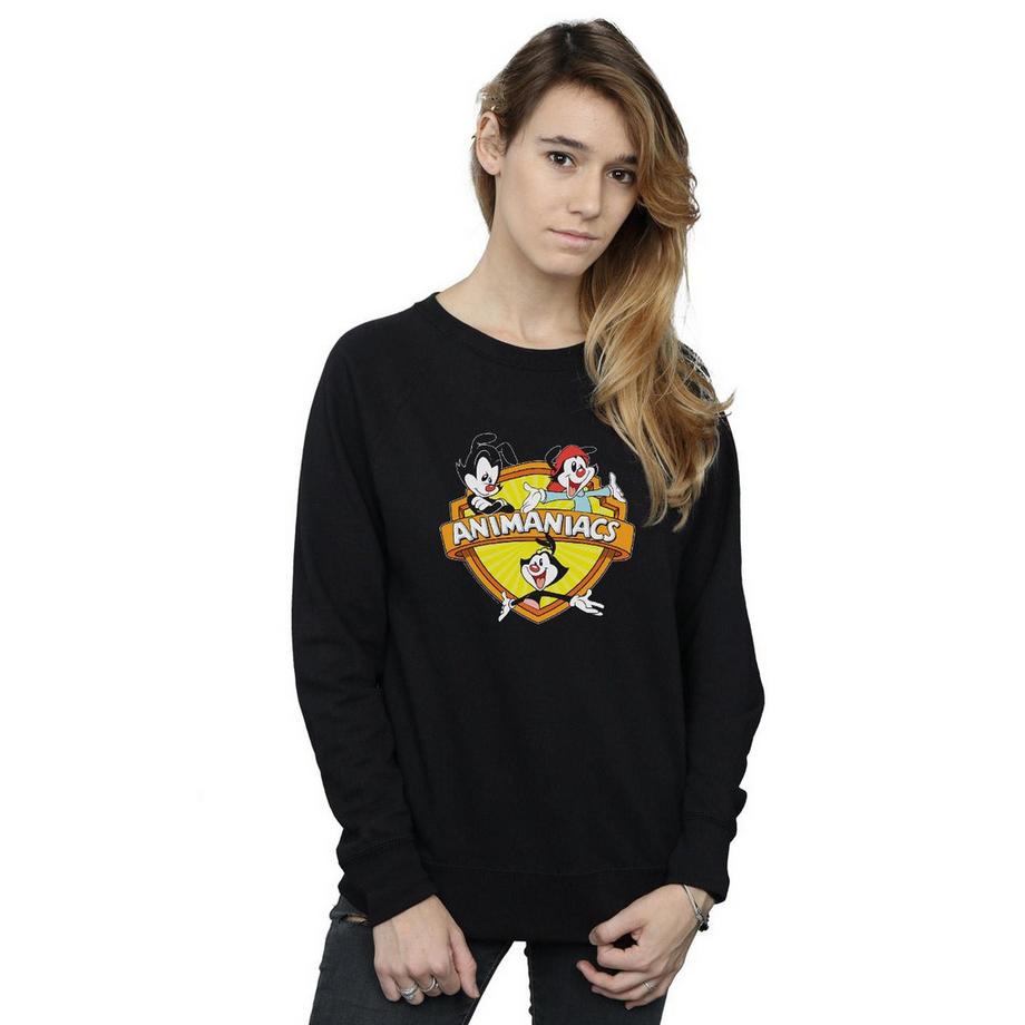 Animaniacs Logo Regular Fit Sweatshirt  