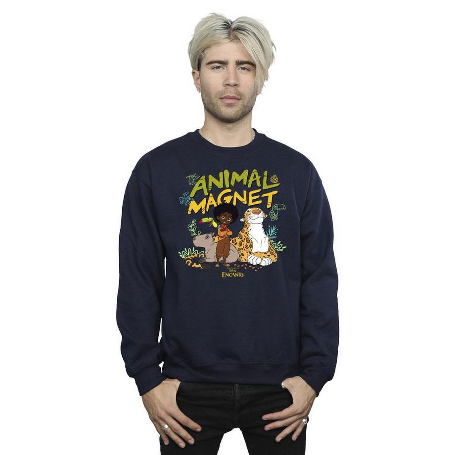 Disney Encanto Animal Magnet Sweatshirt  