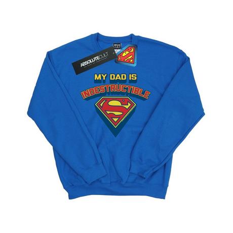 DC COMICS  My Dad Is Indestructible Sweatshirt 