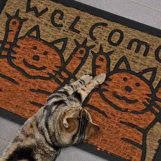 B2X Fußmatte Kokosfaser Katzen  
