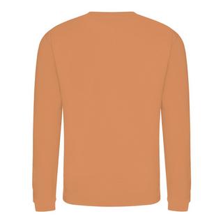 AWDis Rundhals Sweatshirt  