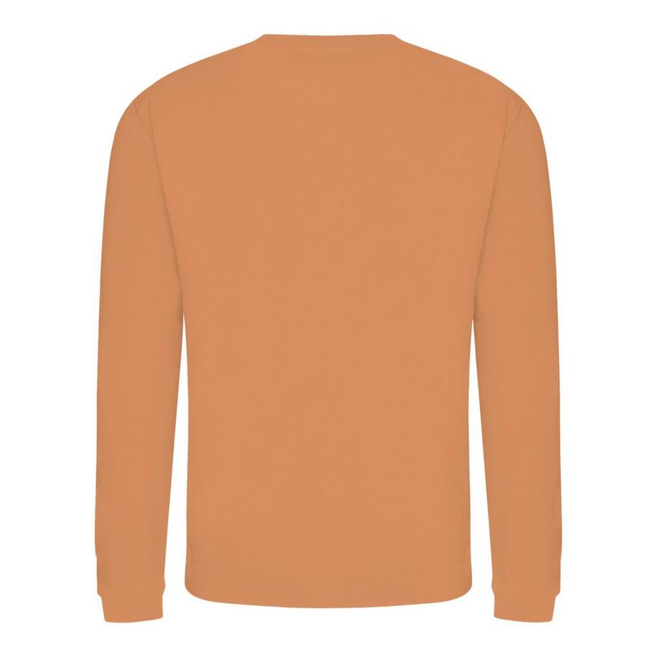 AWDis Rundhals Sweatshirt  