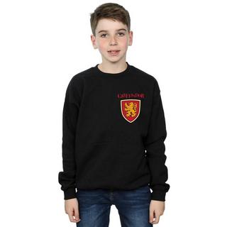 Harry Potter  Gryffindor Sweatshirt 