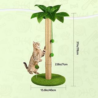 Alopini  Kratzbaum für Katzen 