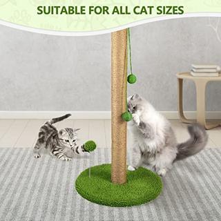 Alopini  Kratzbaum für Katzen 