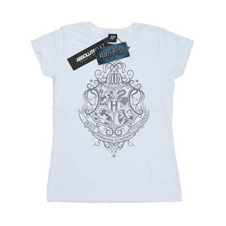 Harry Potter Hogwarts Draco Dormiens T-Shirt  