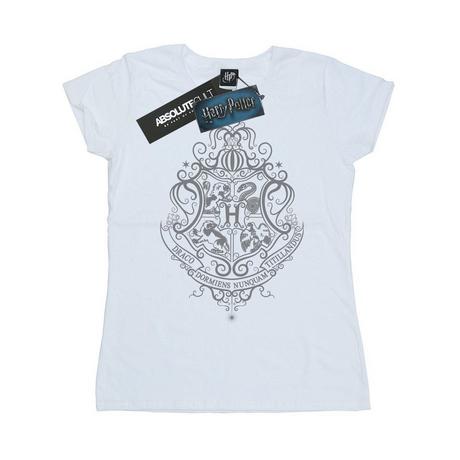 Harry Potter Hogwarts Draco Dormiens T-Shirt  