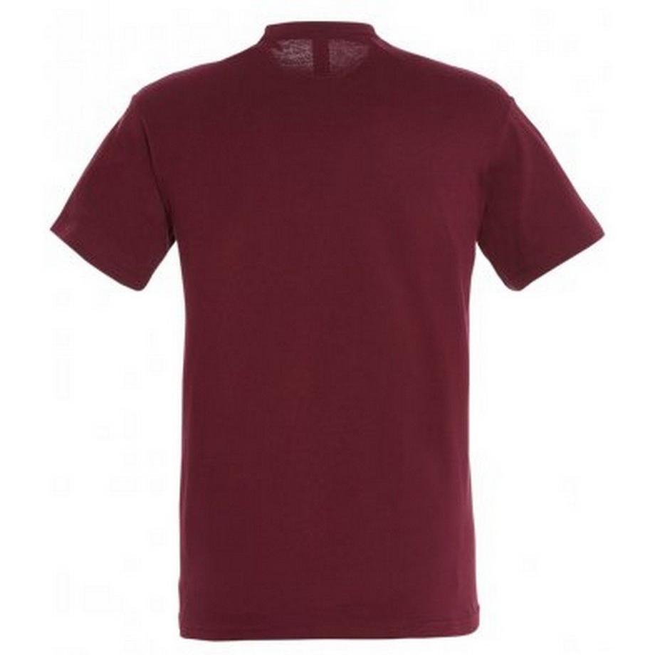 SOLS Regent T-Shirt Manica Corta  