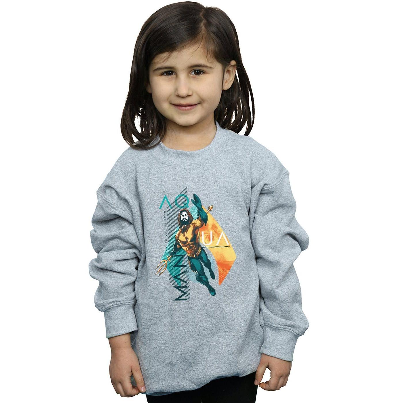 DC COMICS  Sweatshirt 